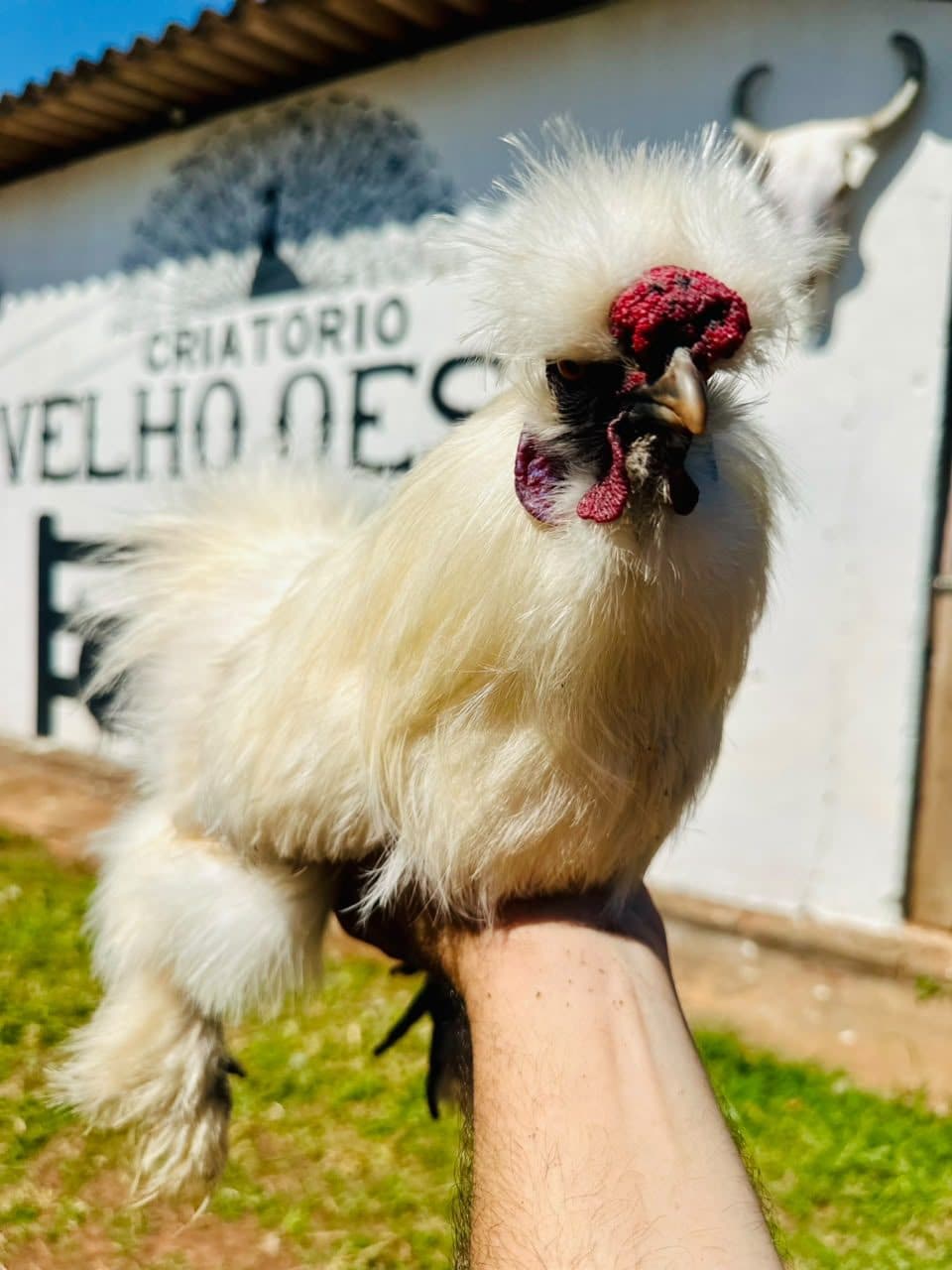 Criatório Velho Oeste